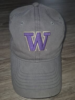 UW Huskies Hat